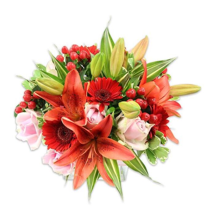 Presented against a bright white background, this opulent hand-tied bouquet reads as a study in warm tones and tactile variety: several large, open Asiatic lilies in vivid orange-red dominate the scene, their speckled petals and pronounced stamens creating an immediate focal drama, while unopened buds hint at continued bloom. Scattered among and around the lilies are rich crimson Gerbera daisies, their radiating petals and dark centres contributing strong graphic contrast and a cheerful energy. Nestled into the composition are soft, blush-pink roses - from button-sized buds to looser, fragrant blooms - that lend an elegant, romantic softness to the arrangement. Clusters of small, bright red hypericum berries add jewel-like accents and a glossy texture that contrasts with the lilies' papery surfaces and the roses' velvety feel. The greenery is generous and varied: broad, deep green leaves form the backdrop, and a few variegated pieces with pale streaks introduce lightness and visual depth, while slender lily leaves add vertical rhythm. The bouquet's full, rounded silhouette demonstrates meticulous placement and an eye for harmony; soft studio lighting accentuates the warm palette and the faint floral-spice scent. As a local floral designer would suggest, this arrangement would make a striking gift for friends on the village green, a thoughtful delivery to a home near St. Nicolas Church, or a celebratory centrepiece for a dinner on a crisp evening after a stroll across Bookham Common - an assured expression of warmth, celebration, and seasonal freshness.